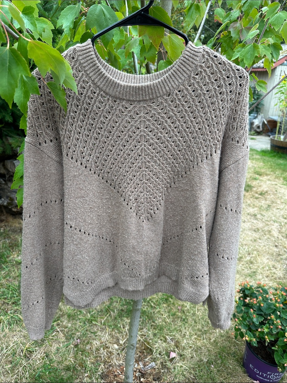 Marine Layer Olivia Pointelle Taupe Crewneck Sweater - Women